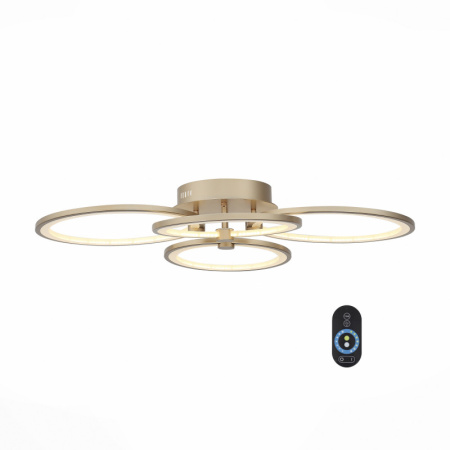 Накладные светильники — Накладной светильник ST-Luce SL867.202.04 купить в 