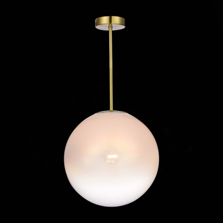 Подвесные светильники — Подвесной светильник ST-Luce SL1190.212.01 купить в 