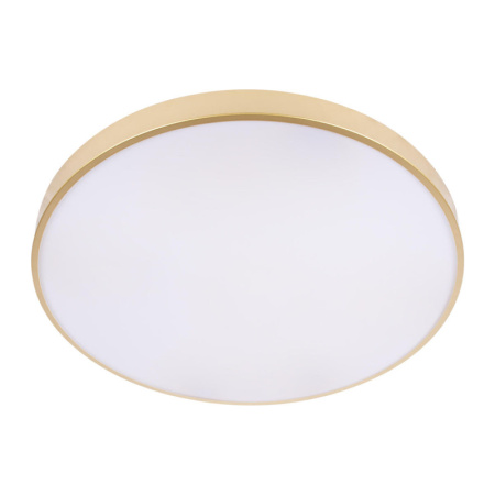 Накладные светильники — Накладной светильник LOFT IT 10228/B купить в 