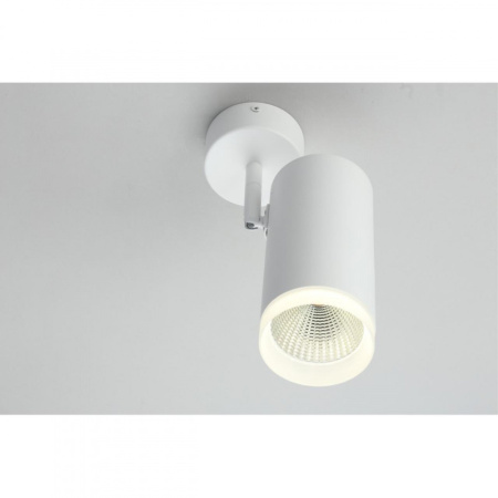 Споты — Спот Omnilux OML-102609-20 купить в  Споты — Спот Omnilux OML-102609-20 купить в