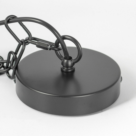 Люстры подвесные — Подвесная люстра Lussole LSP-8817 купить в 