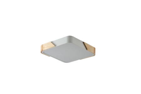 Накладные светильники — Накладной светильник Zortes ZRS.01285.60 купить в  Накладные светильники — Накладной светильник Zortes ZRS.01285.60 купить в