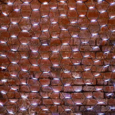 Светодиодные сети — Светодиодная сеть Neon-Night 217-115 купить в  Светодиодные сети — Светодиодная сеть Neon-Night 217-115 купить в