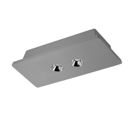 Накладные светильники — Накладной светильник LOFT IT OL1072-GH/2 купить в  Накладные светильники — Накладной светильник LOFT IT OL1072-GH/2 купить в