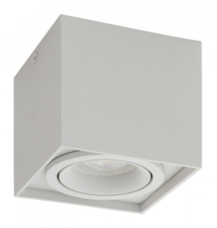 Накладные точечные светильники — Накладной светильник Denkirs DK2003-WH купить в 