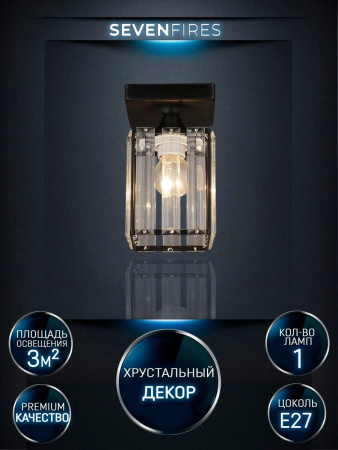 Потолочные светильники — Потолочный светильник Seven Fires Netta WD3519/1C-BK-CL купить в  Потолочные светильники — Потолочный светильник Seven Fires Netta WD3519/1C-BK-CL купить в