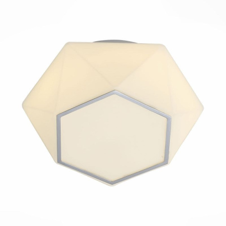 Накладные светильники — Накладной светильник ST-Luce SL558.502.01 купить в 