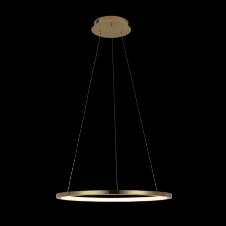 Подвесные светильники — Подвесной светильник LOFT IT 10014M купить в 