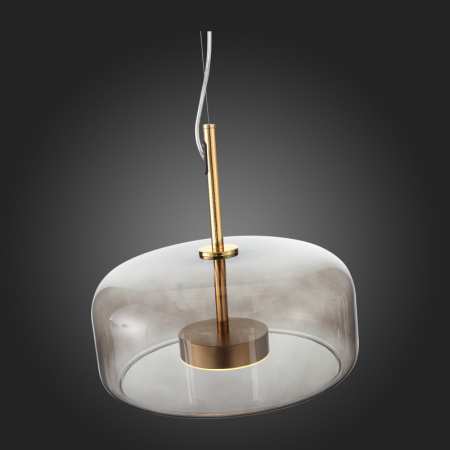 Подвесные светильники — Подвесной светильник ST-Luce SL1053.243.01 купить в 