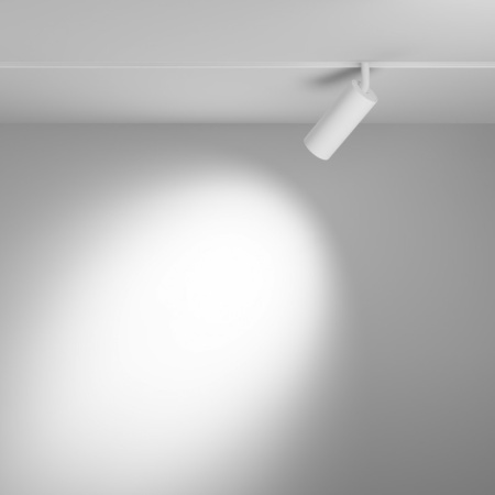 Трековые светильники — Светильник на шине Maytoni Technical TR032-4-12W3K-S-DS-W купить в 