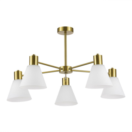 Люстры на штанге — Люстра на штанге Evoluce SLE1561-302-05 купить в 