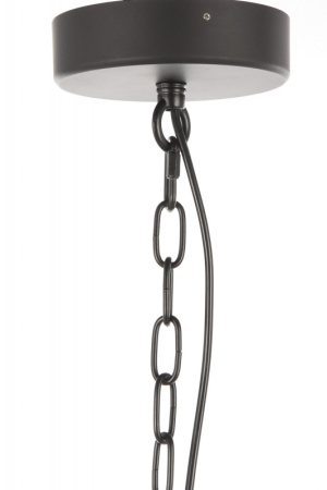 Люстры подвесные — Подвесная люстра Cosmo 1212S-5 дымчатый/черный купить в 