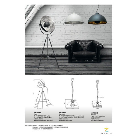Подвесные светильники — Подвесной светильник Zumaline Antenne TS-071003P-BKSI купить в 
