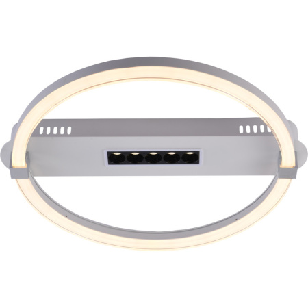 Накладные светильники — Накладной светильник Escada 10253/1LED купить в  Накладные светильники — Накладной светильник Escada 10253/1LED купить в