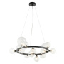 Люстры подвесные — Подвесная люстра Lumien Hall Lovrenc LH4125/14P-BK-CL купить в 