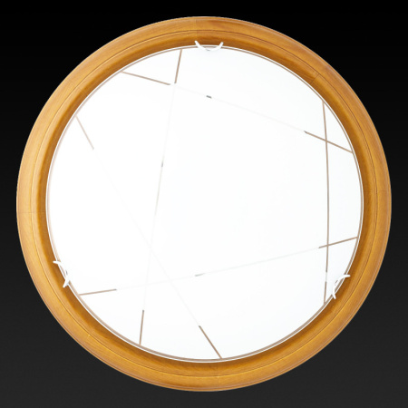 Накладные светильники — Накладной светильник TOPLIGHT TL9013Y-02OA купить в 