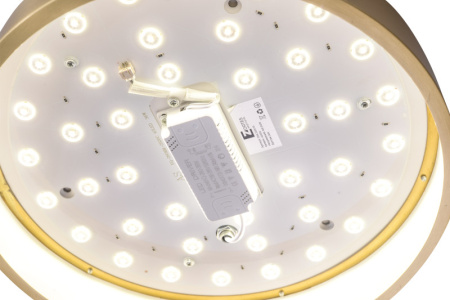 Накладные светильники — Накладной светильник Zortes ZRS.1209.10 купить в  Накладные светильники — Накладной светильник Zortes ZRS.1209.10 купить в