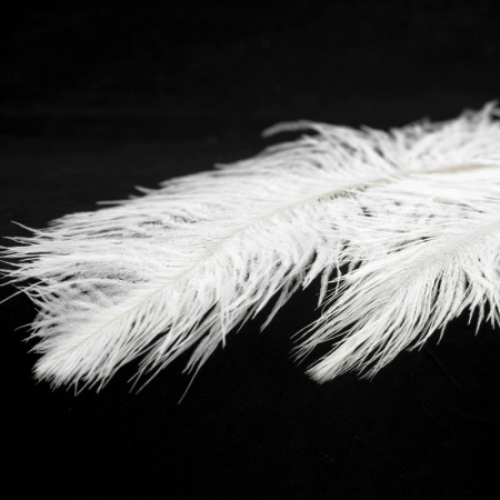 Люстры подвесные — Подвесная люстра Lussole LSP-8600 купить в  Люстры подвесные — Подвесная люстра Lussole LSP-8600 купить в