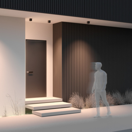 Накладные уличные светильники — Накладной уличный светильник Maytoni O309CL-L8GF3K купить в 