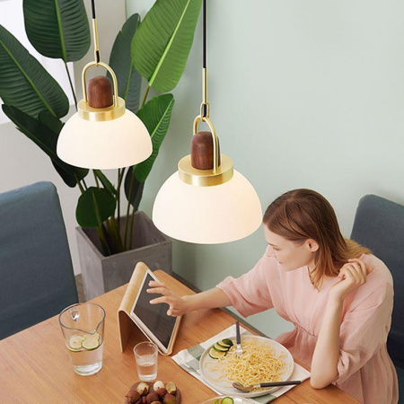 Подвесные светильники — Подвесной светильник Imperium Loft Arc Globe 101295-26 купить в 