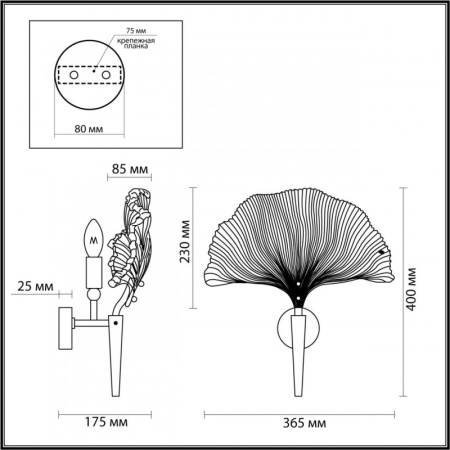 Настенные бра — Бра Odeon Light 4870/1W купить в  Настенные бра — Бра Odeon Light 4870/1W купить в