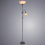 Торшеры и напольные светильники — Торшер ARTE Lamp A9569PN-2SI купить в  Торшеры и напольные светильники — Торшер ARTE Lamp A9569PN-2SI купить в