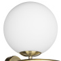 Настенные бра — Бра Lightstar 815621 купить в  Настенные бра — Бра Lightstar 815621 купить в