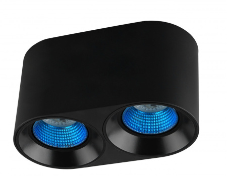 Накладные точечные светильники — Накладной светильник Denkirs DK3096-BK+CY купить в  Накладные точечные светильники — Накладной светильник Denkirs DK3096-BK+CY купить в