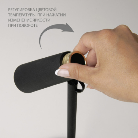 Торшеры и напольные светильники — Торшер Eurosvet 80430/1 черный/золото купить в 