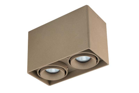 Накладные точечные светильники — Накладной светильник Donolux DL18611/02WW-SQ Champagne купить в 