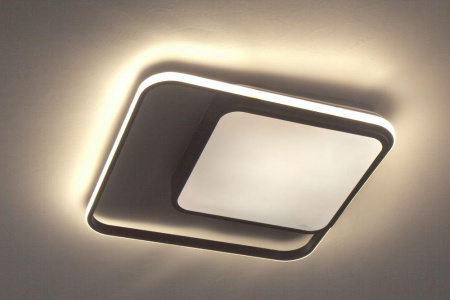 Потолочные светильники — Потолочный светодиодный светильник Escada 10210/2LED купить в  Потолочные светильники — Потолочный светодиодный светильник Escada 10210/2LED купить в