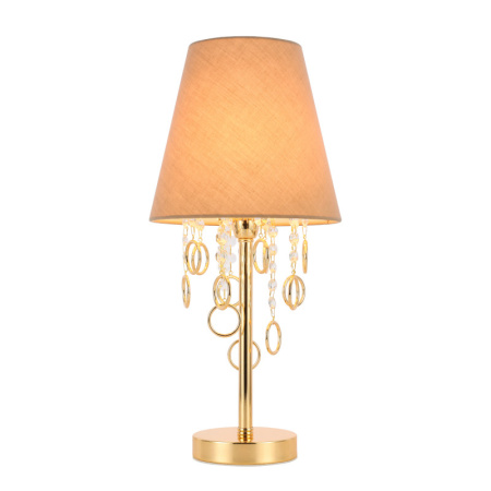 Настольные лампы — Настольная лампа Evoluce SL1138.204.01 купить в 