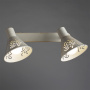 Споты — Спот ARTE Lamp A5218AP-2WG купить в  Споты — Спот ARTE Lamp A5218AP-2WG купить в