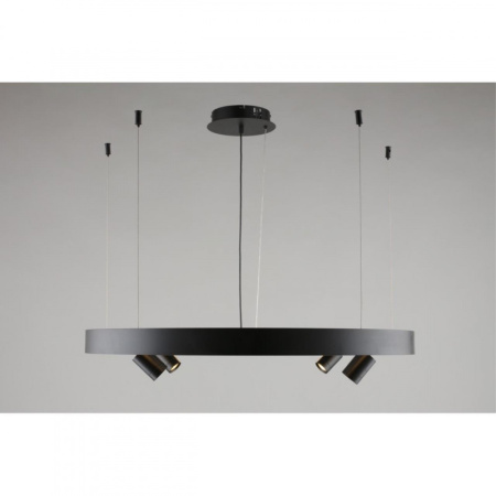 Люстры подвесные — Подвесная люстра APLOYT APL.041.13.50 купить в 