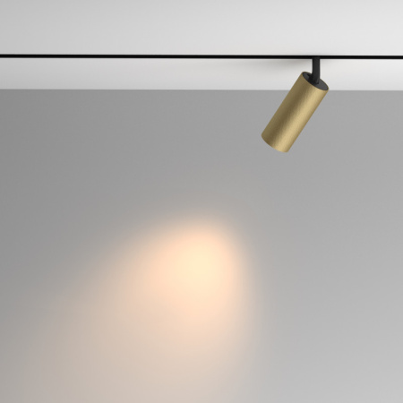 Трековые светильники — Светильник на шине Maytoni Technical TR097-2-12W3K-M-BMG купить в 