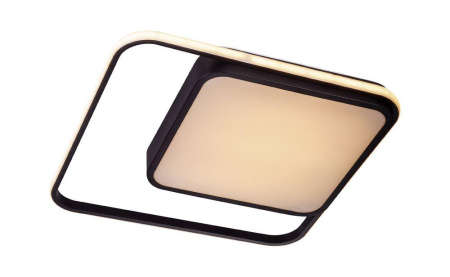 Потолочные светильники — Потолочный светодиодный светильник Escada 10210/2LED купить в  Потолочные светильники — Потолочный светодиодный светильник Escada 10210/2LED купить в