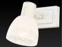 Споты — Спот TOPLIGHT TL3740Y-01WG купить в  Споты — Спот TOPLIGHT TL3740Y-01WG купить в