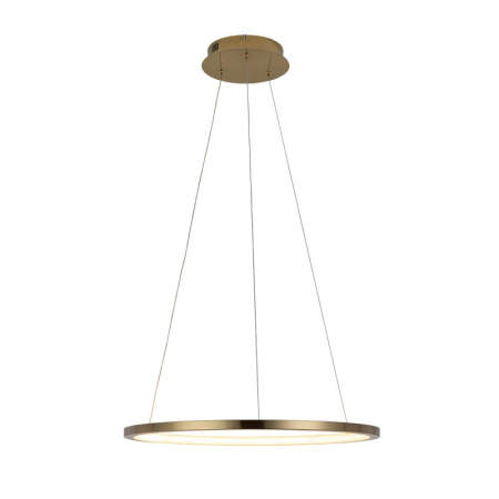 Подвесные светильники — Подвесной светильник LOFT IT 10014M купить в 