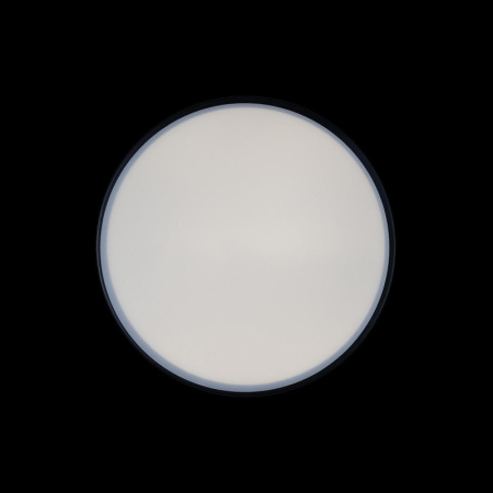 Накладные светильники — Накладной светильник LOFT IT 10002/12 Black купить в 