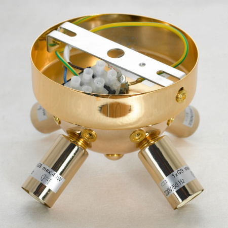 Люстры накладные — Накладная люстра Lussole LSP-8781 купить в 