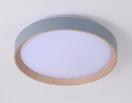 Накладные светильники — Накладной светильник Ambrella Light FZ1320 купить в 