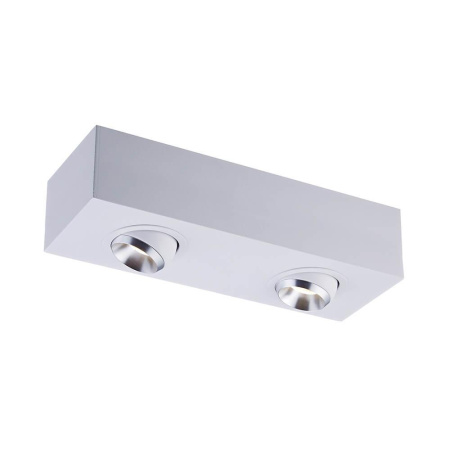 Накладные светильники — Потолочный светильник Zumaline Mac sl ACGU10-142 купить в  Накладные светильники — Потолочный светильник Zumaline Mac sl ACGU10-142 купить в