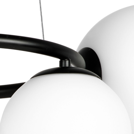 Люстры подвесные — Подвесная люстра Lightstar 815057 купить в  Люстры подвесные — Подвесная люстра Lightstar 815057 купить в