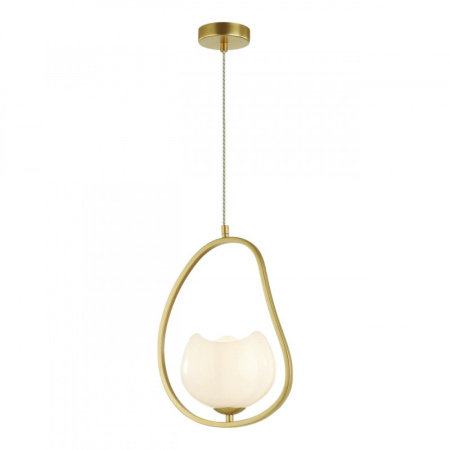 Подвесные светильники — Подвесной светильник Odeon Light 4873/1 купить в 