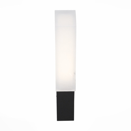 Уличные настенные светильники — Светильник настенный ST-Luce SL096.411.02 купить в 