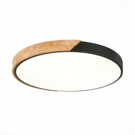 Накладные светильники — Накладной светильник Evoluce SLE200942-01 купить в 