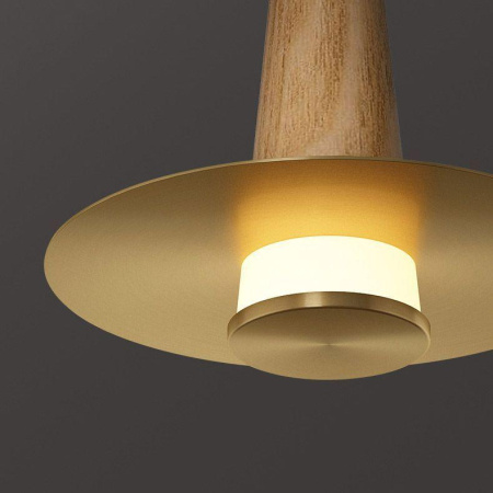 Подвесные светильники — Подвесной светодиодный светильник Imperium Loft Curtiss 189880-23 купить в 