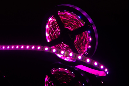 Светодиодные ленты — Лента SWG SWG560-12-14.4-RGB купить в 