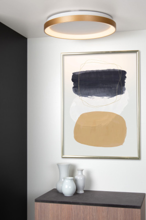 Накладные светильники — Накладной светильник LUCIDE 46103/38/02 купить в 