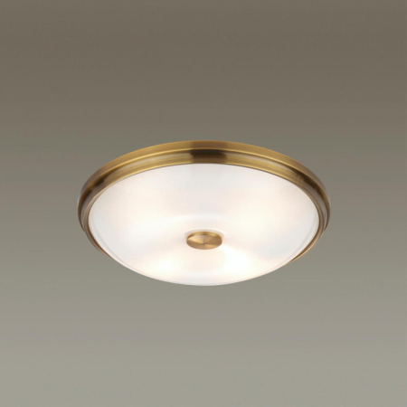 Накладные светильники — Накладной светильник Odeon Light 4956/4 купить в 